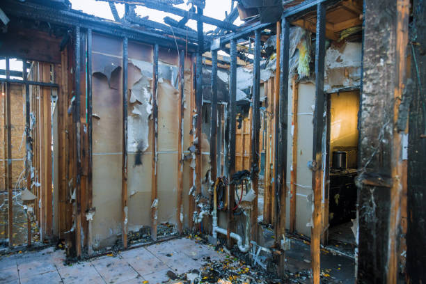Professional Fire Damage Repair technician working in Wayne City, IL